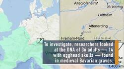 Foreign Eggheads: Pointy-Skulled Women Were Immigrant Brides Instructional Video