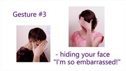 5 Common Gestures Instructional Video