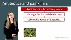 Antibiotics and Painkillers: What You Need to Know Instructional Video