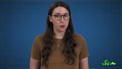 A World Within Our World: Hang Sơn Đoòng | Weird Places Instructional Video