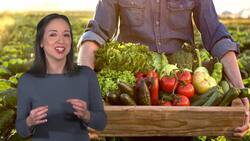 Understanding Words Using Context Clues Instructional Video