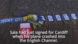 Man arrested on suspicion of manslaughter over Emiliano Sala death News Clip