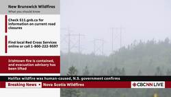 Halifax wildfire was human-caused, N.S. government confirms News Clip