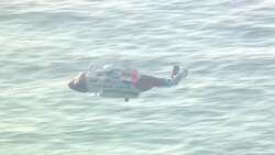 Search for migrants in freezing Channel after four confirmed dead News Clip