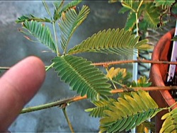 Describiendo la materia: ¿qué es la materia? Instructional Video