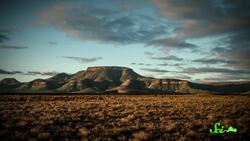 How Hyraxes Preserve the Past in Poo Instructional Video