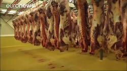 Scandal over rotten meat in Belgium News Clip