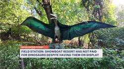 Field Station Dinosaurs says Showboat contractor took dinosaur animatronics without paying for them News Clip