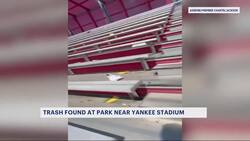 Assemblymember expresses disappointment with trash at Macombs Park News Clip