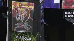 Vinyl record shop News Clip