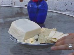 The Fascinating World of Bacteria Instructional Video