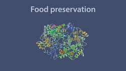 Denaturing By Enzymes Instructional Video