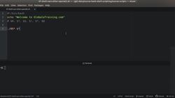Bash Shell Scripting - Other Shell Variables - Part 2 Instructional Video