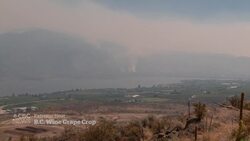 Hot summer producing low yields, flavourful wine, B.C. winemakers say News Clip