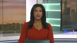 Crews battle 40-acre wildfire in Burlington County's Evesham Township Instructional Video