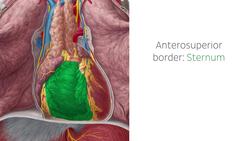 Right ventricle Instructional Video