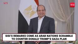 'Only Palestinian State...': Egypt Doubles Down On Rejection Of Trump's Gaza Plan | Watch News Clip