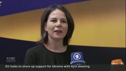 EU foreign ministers, Ukraine put on brave face despite U.S. aid cuts News Clip