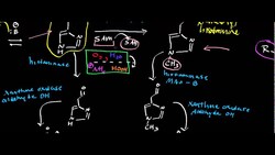 Histamine Catabolism Instructional Video