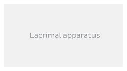 Lacrimal apparatus Instructional Video
