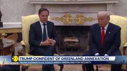 Donald Trump Suggests US Could Annex Greenland For Security News Clip