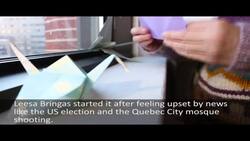 Peace by piece News Clip