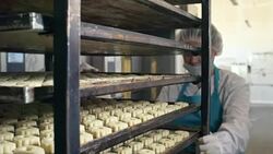 Pushing Baking Rack with Delicious Cookies Stock Footage