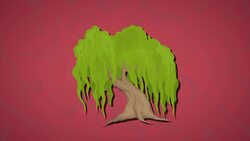 I WONDER - What Are Cricket Bats Made From? Instructional Video