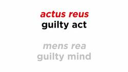 What is a Crime? (The Six Types of Crimes) Instructional Video