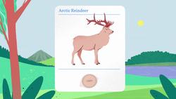 TED-Ed: Which animal has the best eyesight? | Thomas W. Cronin Instructional Video