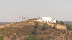 CLEAN : Portugese firefighters battle wildfire as heatwave persists News Clip