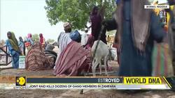 Nigeria kills over 600 terrorists in eight-month air campaign News Clip