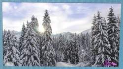 Where Do Icicles Come From? Instructional Video