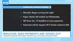Treasury Secretary Says $600 Payments Have Started Going Out News Clip
