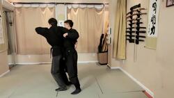 How to Do a Basic Ninjutsu Hip Throw Instructional Video