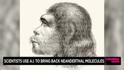 Scientists Use A.I. to Bring Back Neanderthal Molecules News Clip