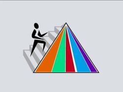 Understanding Meal Planning Instructional Video