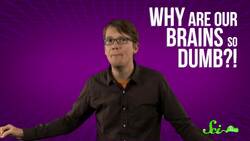 Why Did People Love Flappy Bird? Instructional Video