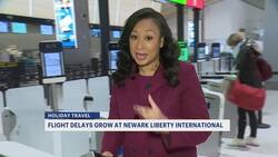 Newark Liberty Int'l Airport braces for Thanksgiving travel rush amid staffing issues News Clip