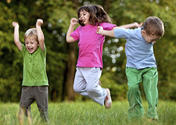 What is digestion? Instructional Video