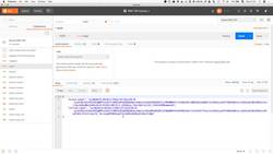 REST APIs with Flask and Python - Testing the Login with Postman Instructional Video