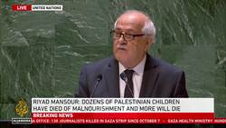 UNGA Address: Palestinian ambassador urges immediate action against Israeli atrocities News Clip