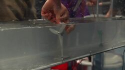 Hydrokinetic energy to power our future - USA Science and Engineering Festival Instructional Video