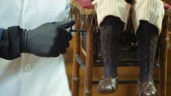 The Modern Antique Sorcerer, Life as an Antiquarian Horologist Instructional Video