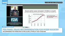 U.S. Panel Backs COVID-19 Boosters Only For Elderly, High-Risk News Clip