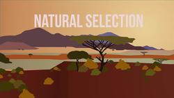 BIOLOGY - Evolution -Competition & Natural Selection Instructional Video