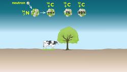 Radiometric Dating: Carbon-14 and Uranium-238 Instructional Video