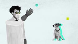 Demystified: Are Dogs Color-Blind? Instructional Video