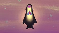 TED-Ed: Claire Simeone: The lovable (and lethal) sea lion Instructional Video