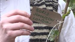 MPs encouraged to collect trees as part of climate project News Clip